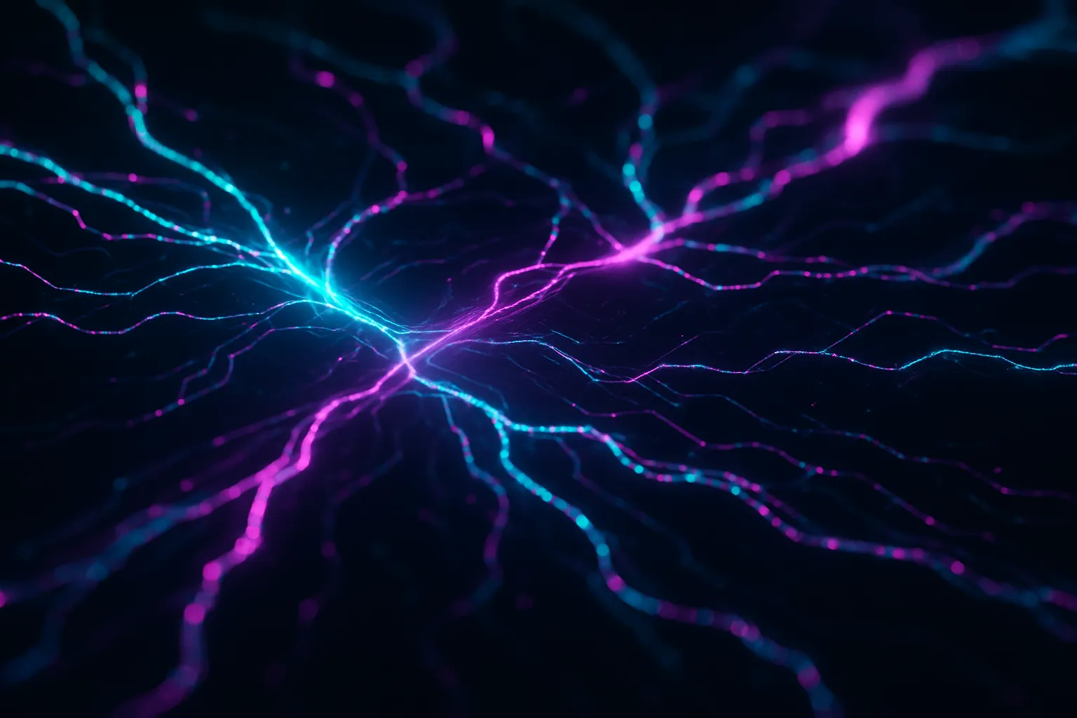 Social Media Management Case Study